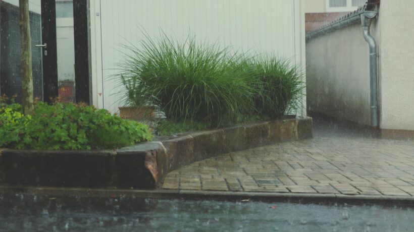 Septic Tank Problems When It Rains: A Quick Guide for Homeowners