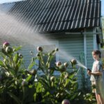 Child watering a garden on property that highlights septic tank pros and cons for residential living